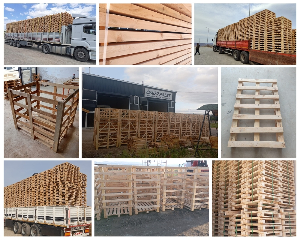 Velsen-Noord Houten Kisten, Europallets Groothandel Kopen